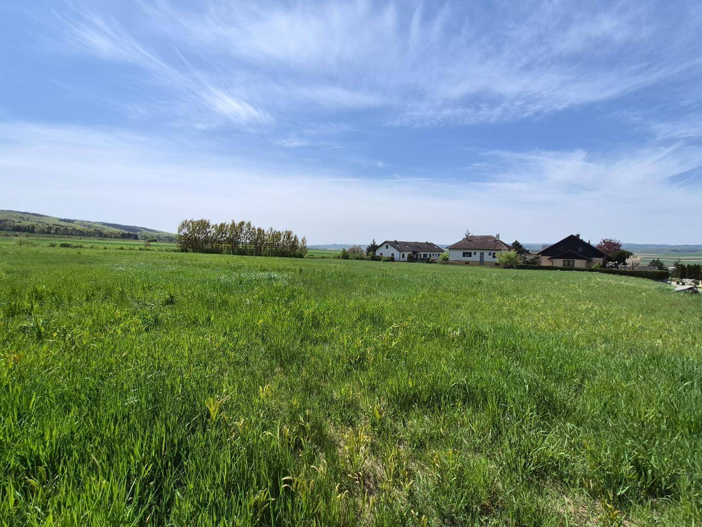 Weitläufiges grünes Feld mit Häusern und Bäumen am Horizont unter einem klaren blauen Himmel.