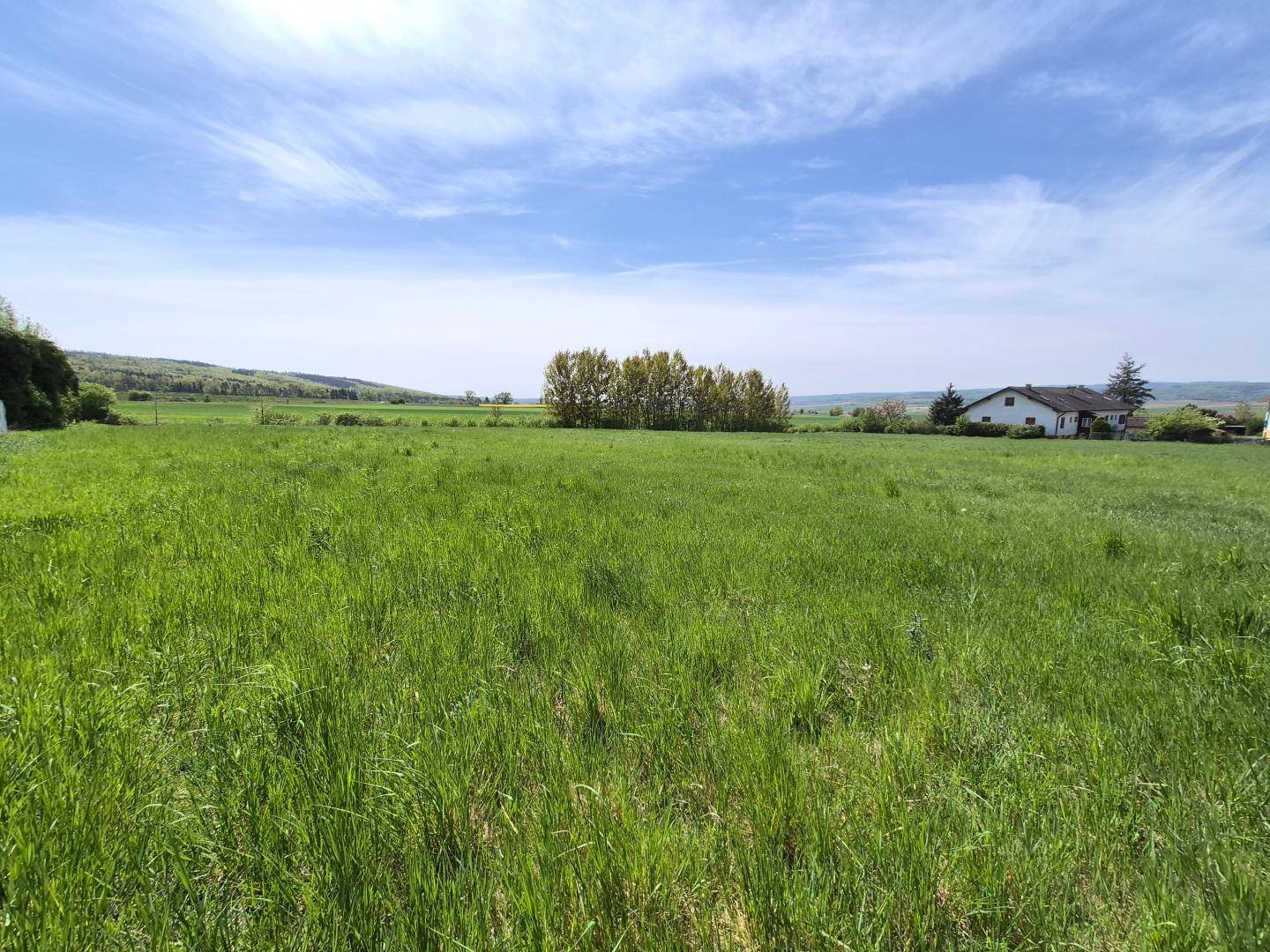 Ausgedehntes grünes Feld mit vereinzelten Häusern und Bäumen in der Ferne unter blauem Himmel.