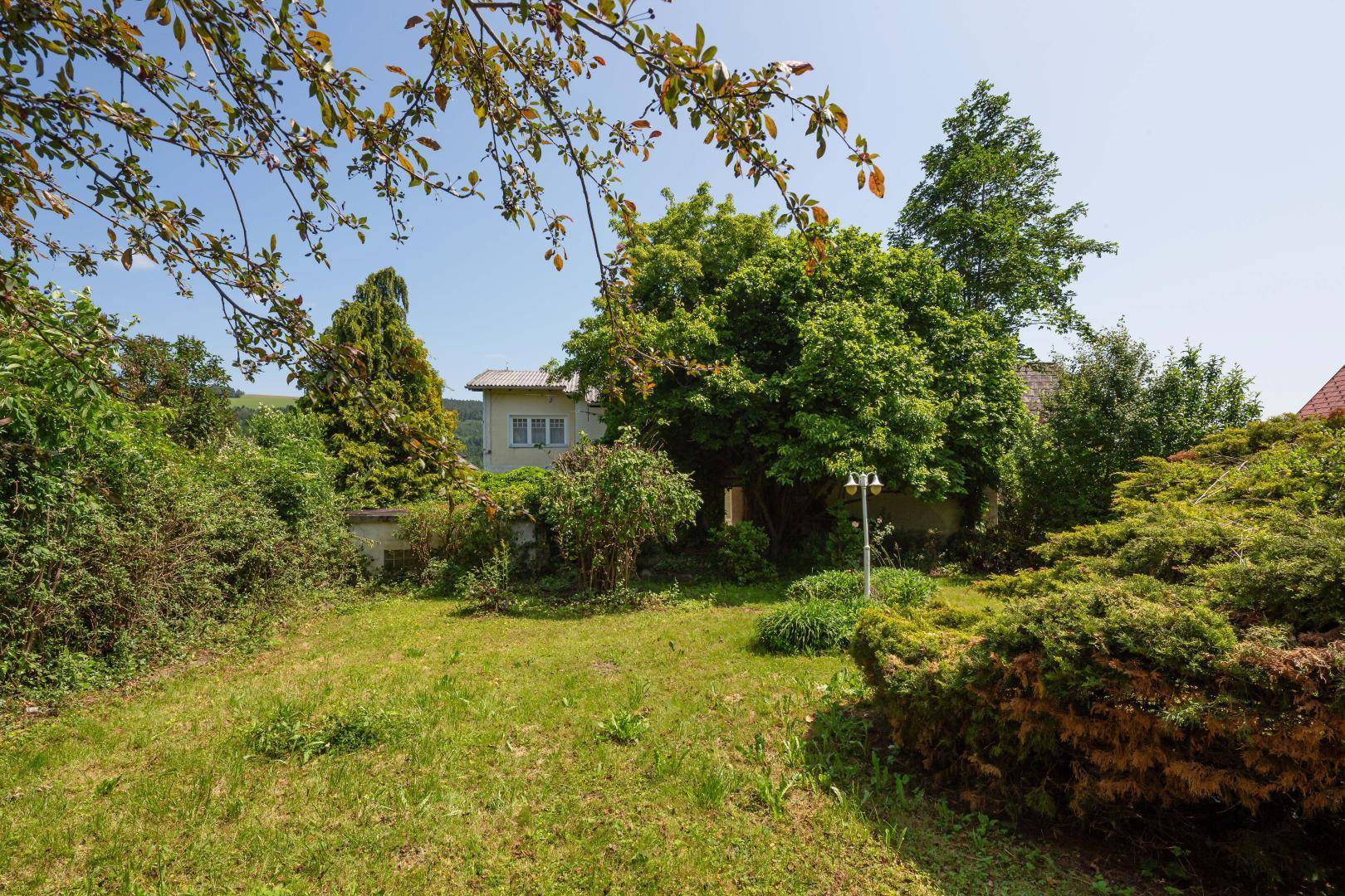 Großer, grüner Garten mit Rasenfläche und altem Baumbestand hinter dem Haus.