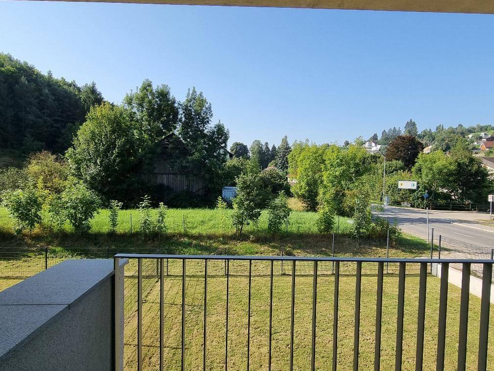 Panoramablick vom Balkon auf die grüne Landschaft und die Straße unter blauem Himmel.