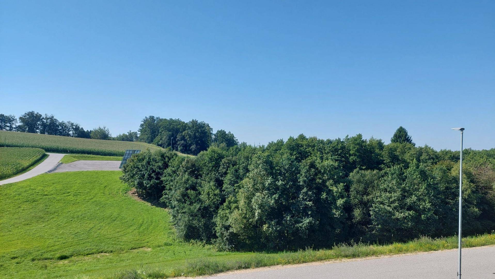 Weitläufige grüne Landschaft mit Bäumen und Feldern unter einem klaren blauen Himmel.
