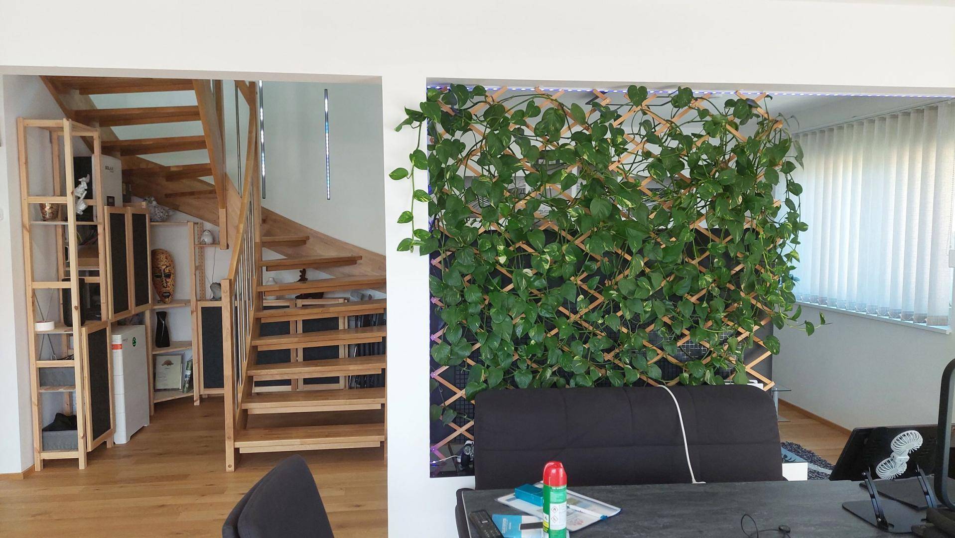 Heller Eingangsbereich mit Holztreppe und dekorativer grüner Pflanzenwand.