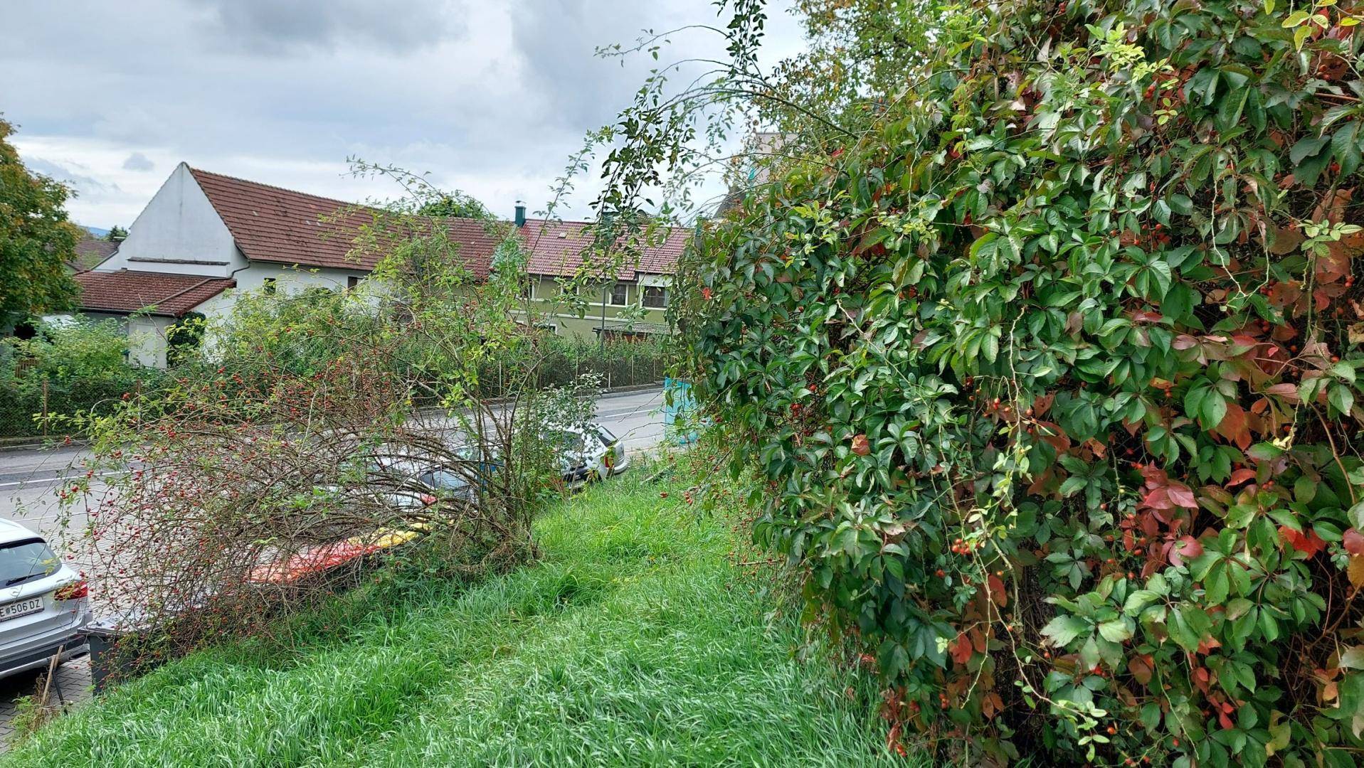 Blick auf die Umgebung mit Häusern und einer Straße, umgeben von üppigem Grün.