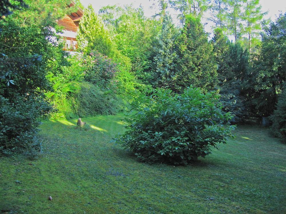 Weitläufiger Rasenbereich mit altem Baumbestand und Blick auf das Haus im Hintergrund.
