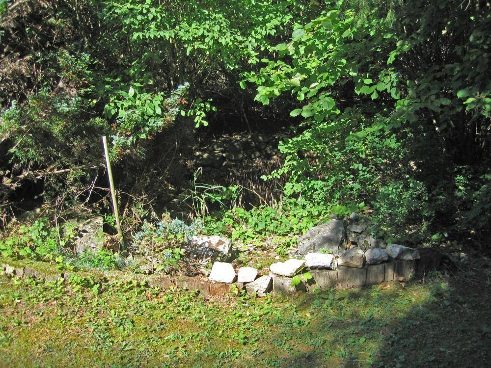 Naturbelassener Gartenbereich mit kleiner Steinmauer und dichter Vegetation, umgeben von Bäumen.