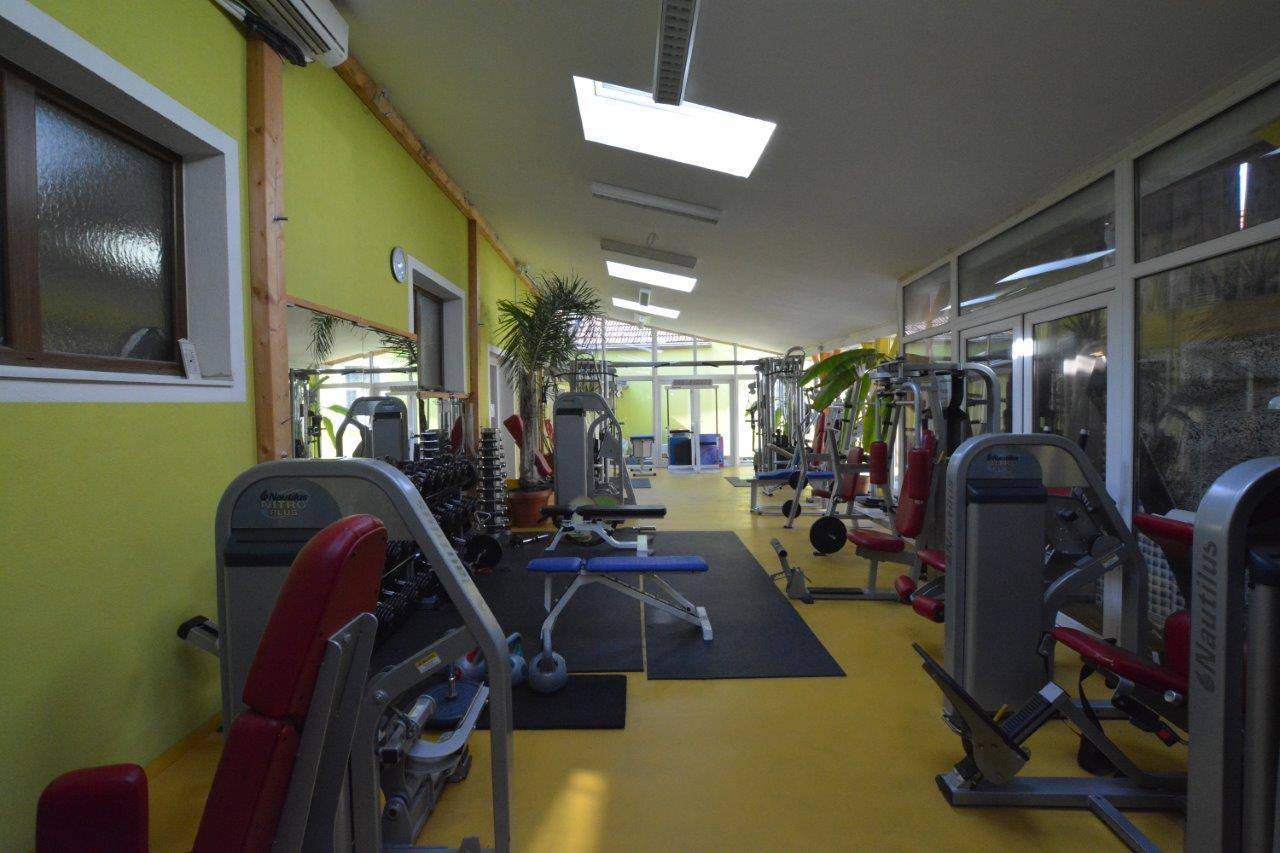 Fitnessraum mit großen Fenstern, viel Tageslicht und einer Reihe von Trainingsgeräten.