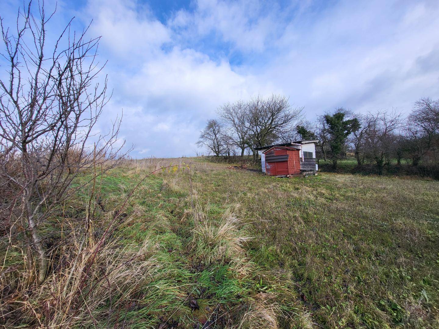 Weitläufiges Feld mit hohem Gras und einem kleinen roten Schuppen unter bewölktem Himmel.