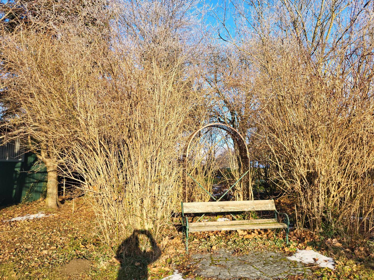 Rustikale Holzbank in einem winterlichen Garten, umgeben von kahlen Sträuchern und Schneeflecken.