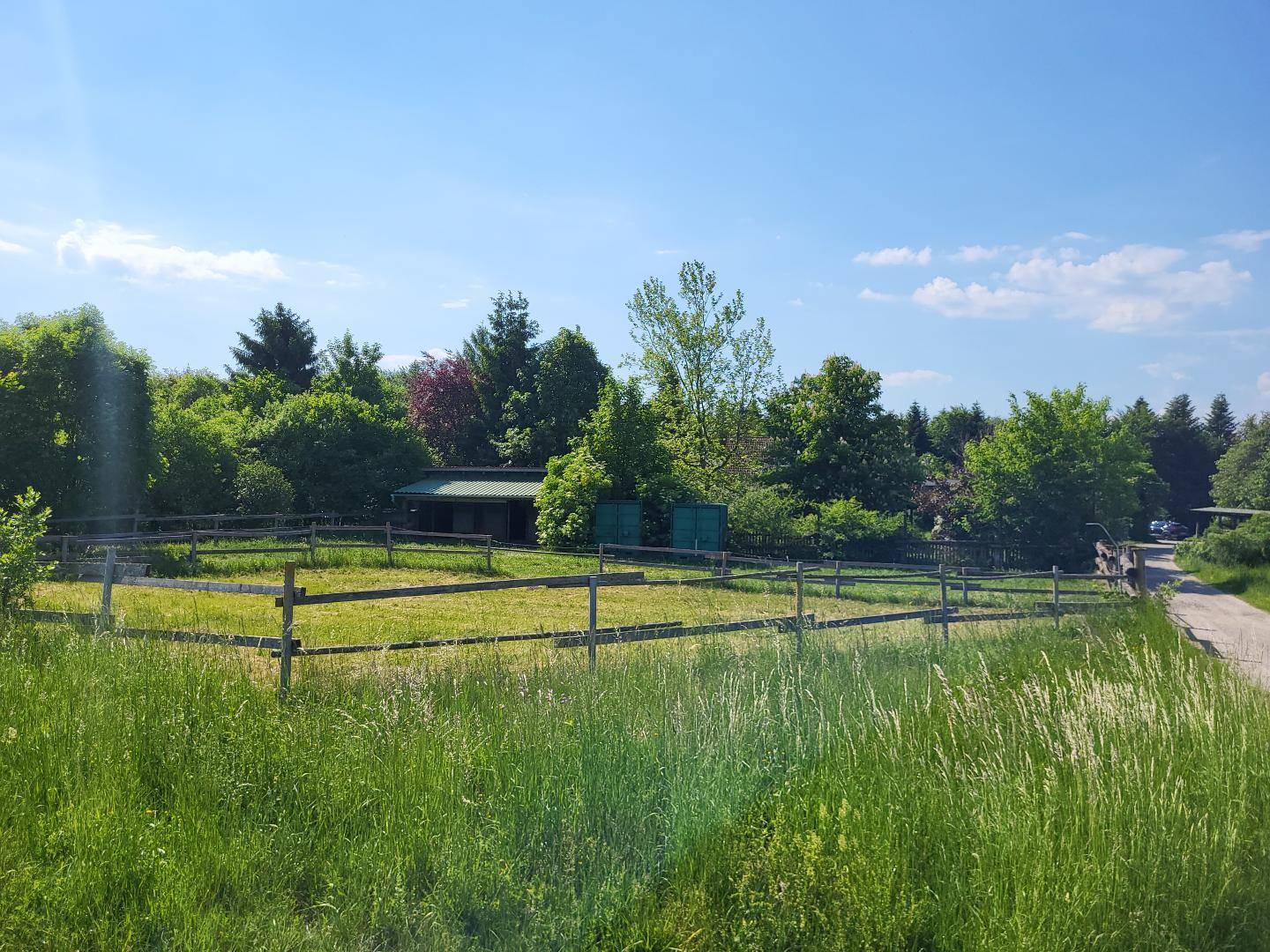 Weitläufiger, umzäunter Grünbereich mit hohen Gräsern und dichtem Baumbestand im Hintergrund.