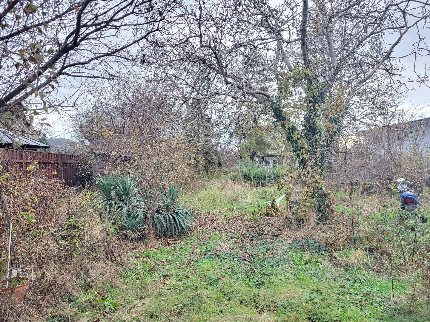 NEUER PREIS !!! SCHÖNES BAUGRUNDSTÜCK IN KAISEREBERSDORF - Ansicht 2
