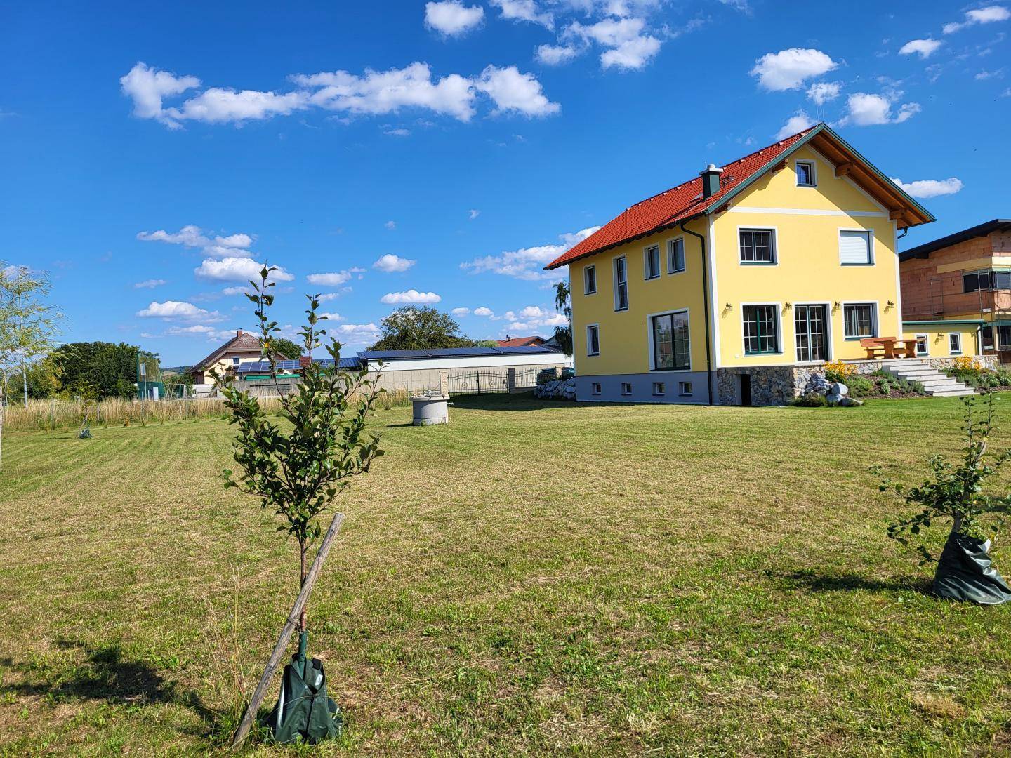 Weitläufiger Gartenbereich mit jungen Bäumen und Blick auf das gelbe Einfamilienhaus.