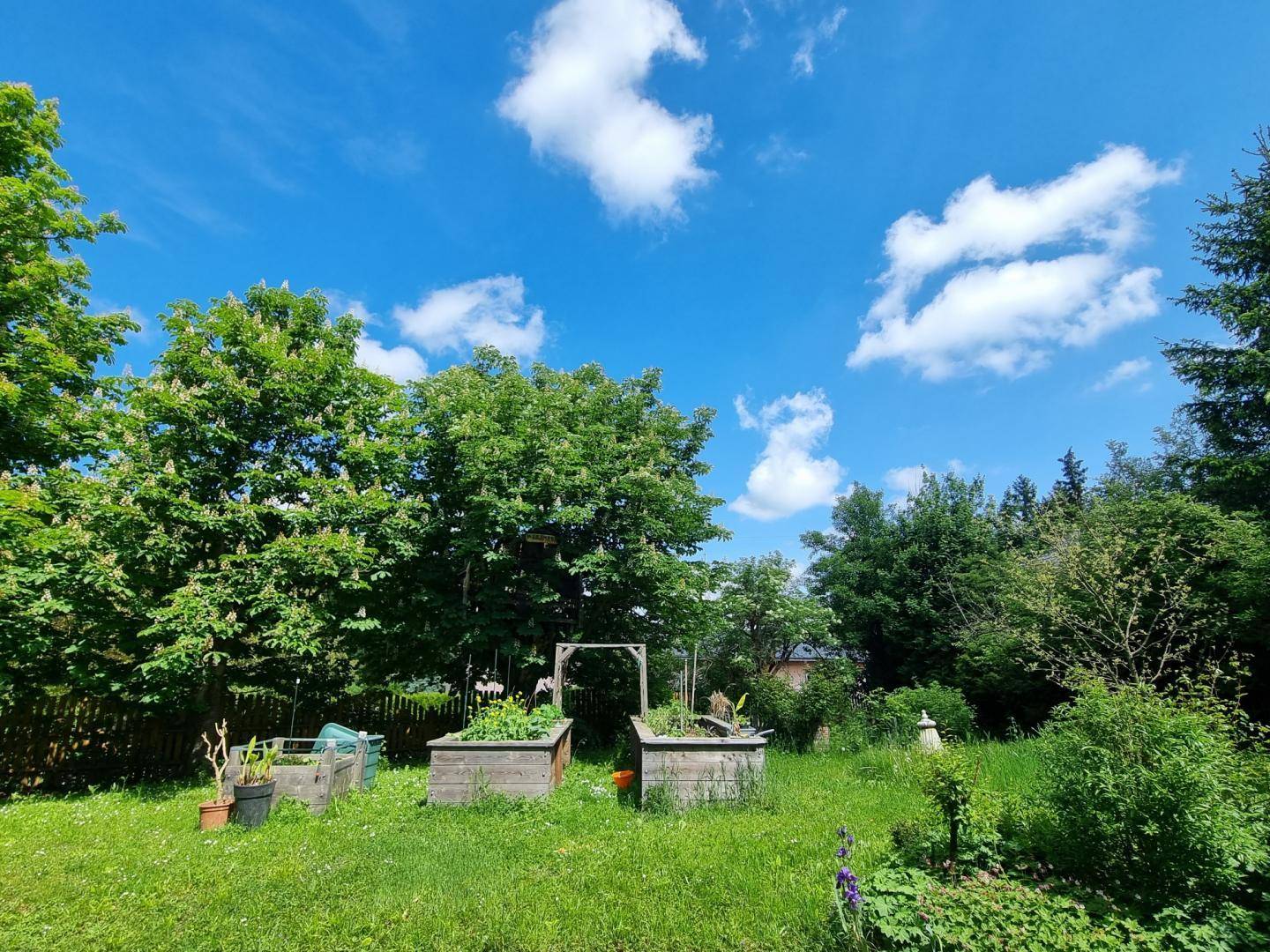 Weitläufiger Garten mit Hochbeeten unter blauem Himmel und üppiger Vegetation.