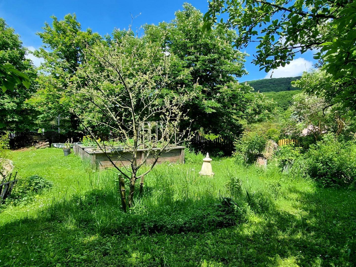 Großer, sonniger Garten mit Hochbeeten und Obstbäumen, umgeben von viel Grün.