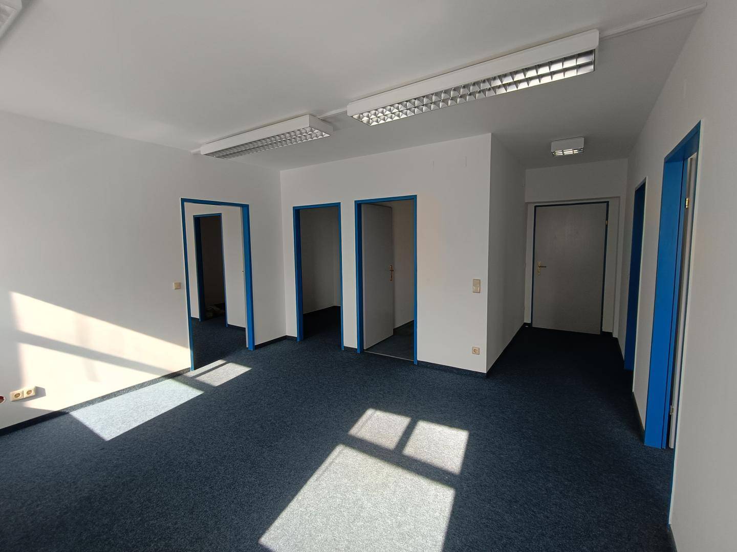 Offener Bürobereich mit mehreren Türen und blauem Teppichboden, bereit zur individuellen Gestaltung.