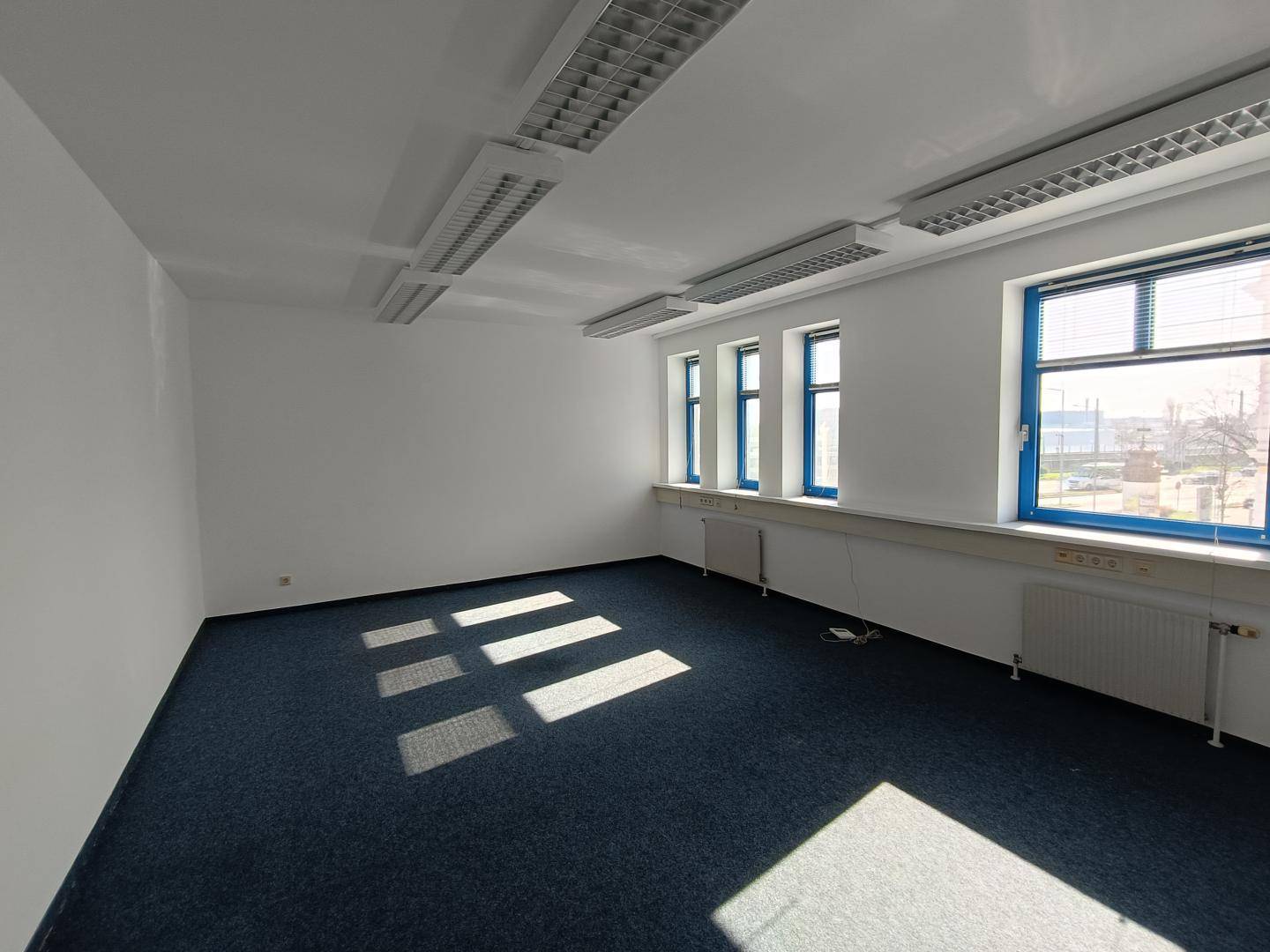 Großes, leeres Büro mit vielen Fenstern, blauem Teppichboden und weiß gestrichenen Wänden.