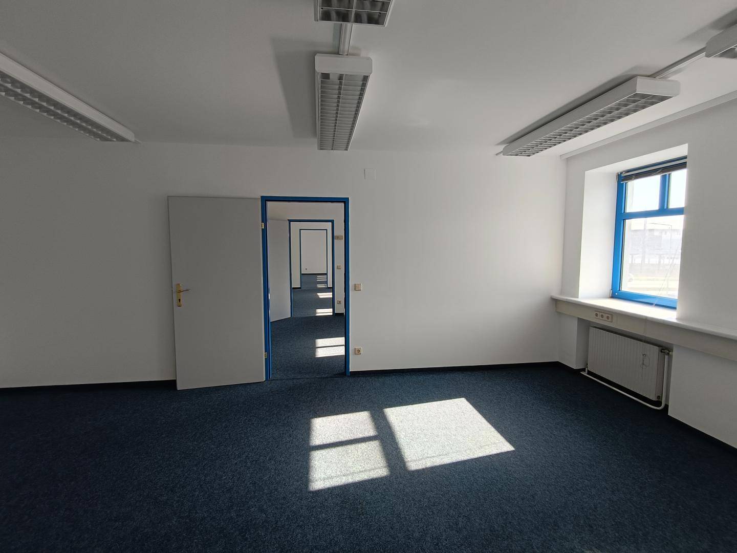 Helles Büro mit blauem Teppichboden, weißen Wänden und einer Tür, die zu einem Flur führt.