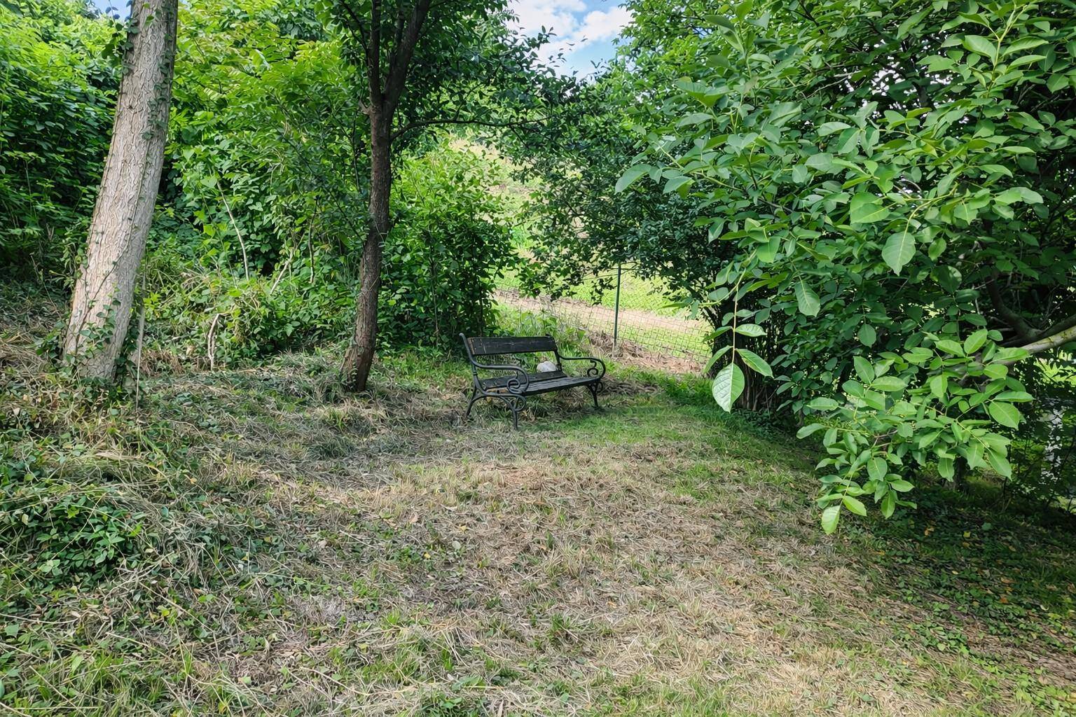 Metallbank unter einem Baum auf einer grünen, leicht abfallenden Rasenfläche im Garten.