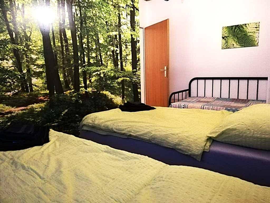 Schlafzimmer mit zwei Betten und einer großen Waldtapete, die eine sonnige Lichtung zeigt.