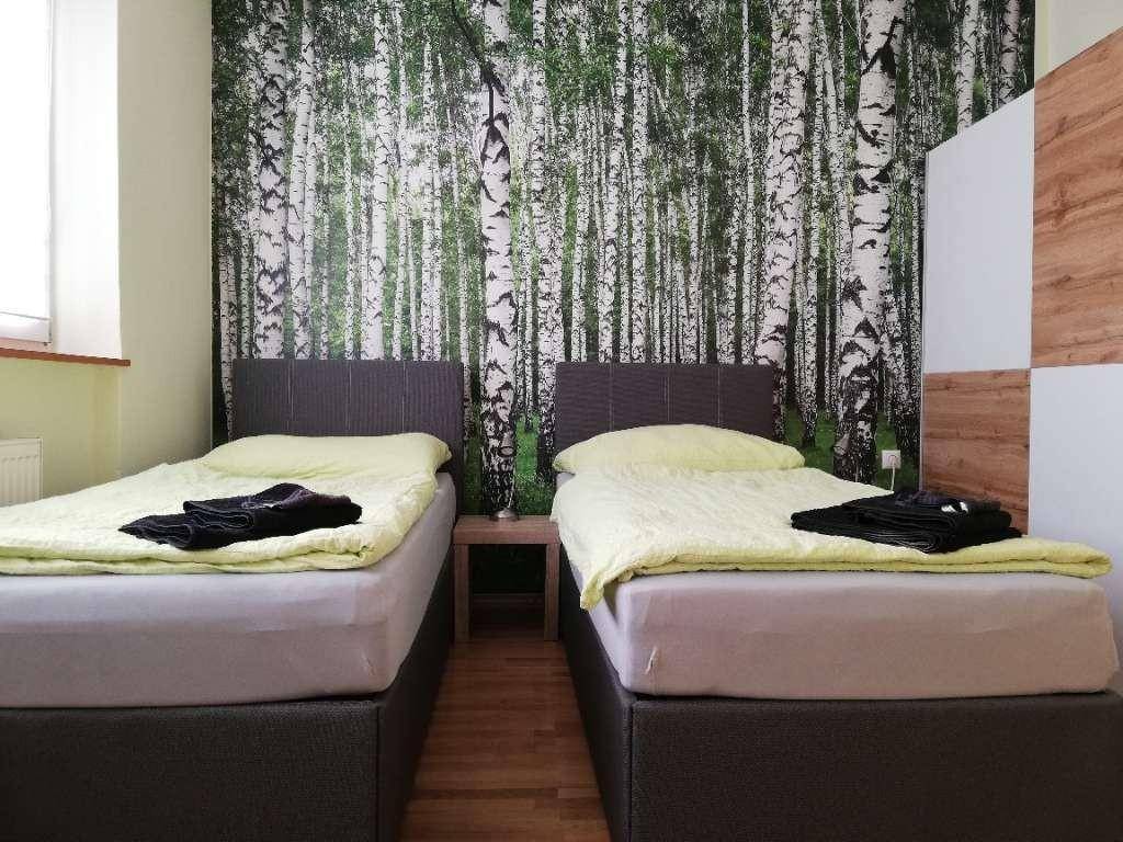 Helles Schlafzimmer mit zwei Einzelbetten, Holzboden und einer Waldtapete mit Birkenmotiv.