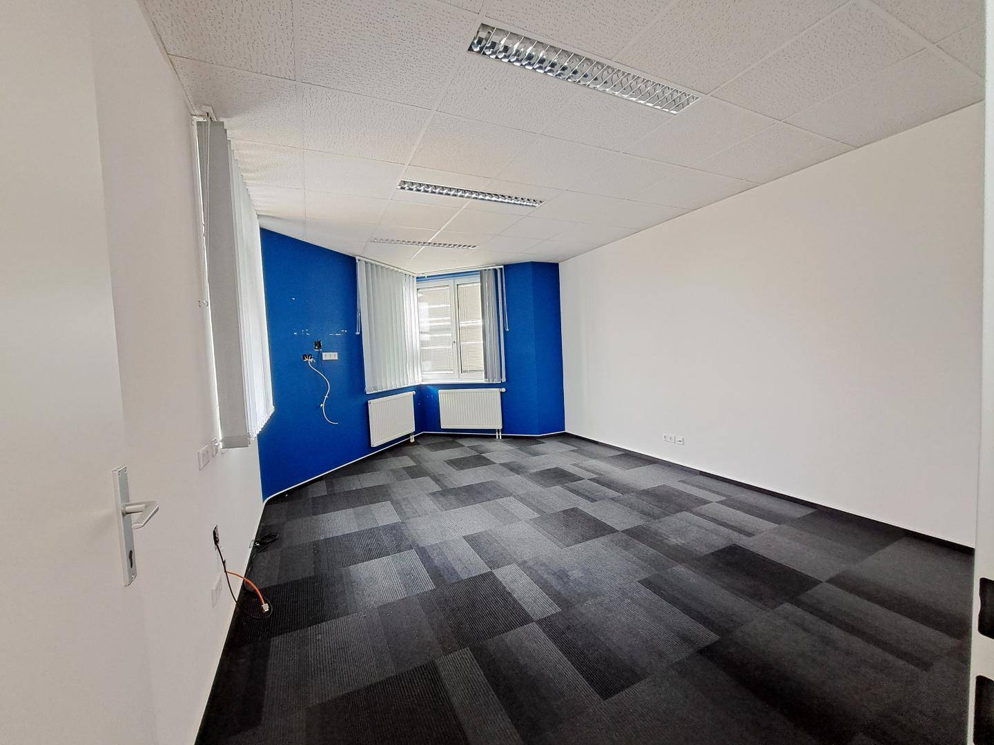 Büroraum mit Teppichfliesen, blauen Akzentwänden und Fenstern mit vertikalen Jalousien.