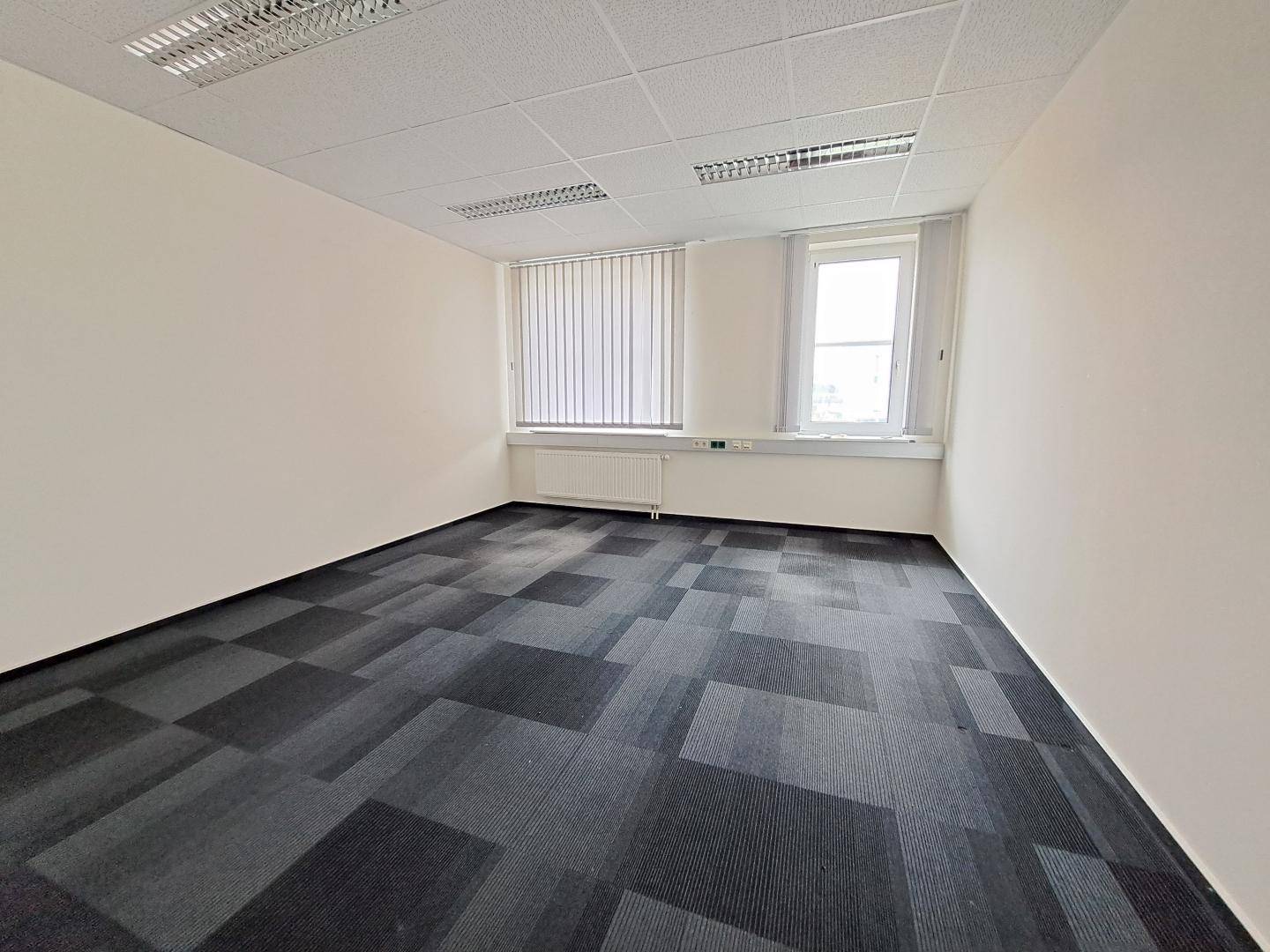Sauberes Büro mit Teppichboden, weißen Wänden und Heizkörpern unter den Fenstern.