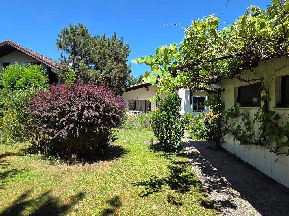 Grüner Gartenbereich mit üppigen Sträuchern und einem bewachsenen Hausanbau unter blauem Himmel.