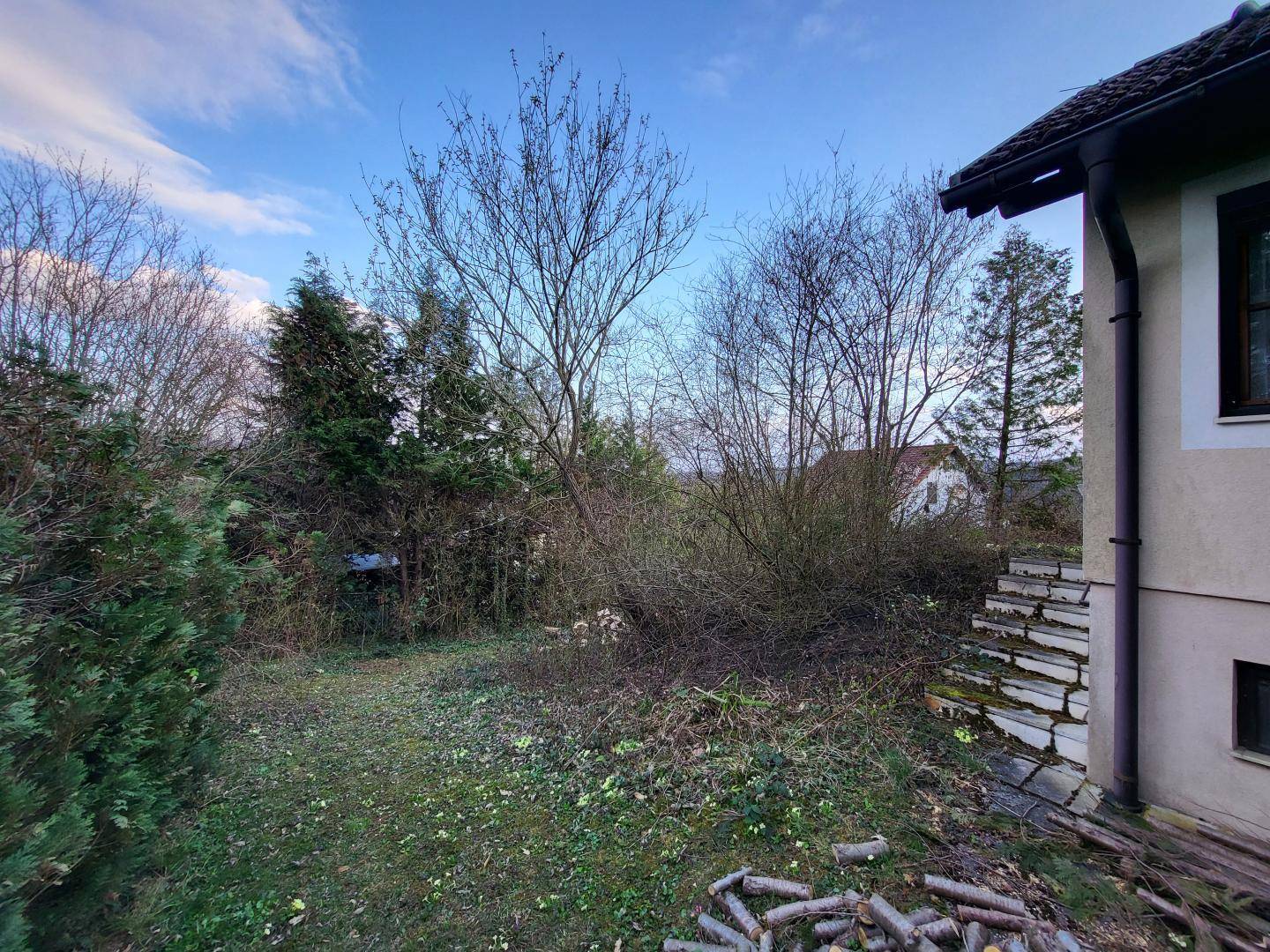 Naturbelassener Gartenbereich neben dem Haus mit Holzstapel und Bäumen.