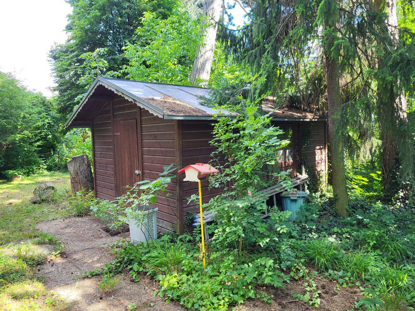 Rustikaler Holzschuppen im Garten, umgeben von dichter Vegetation und Bäumen.