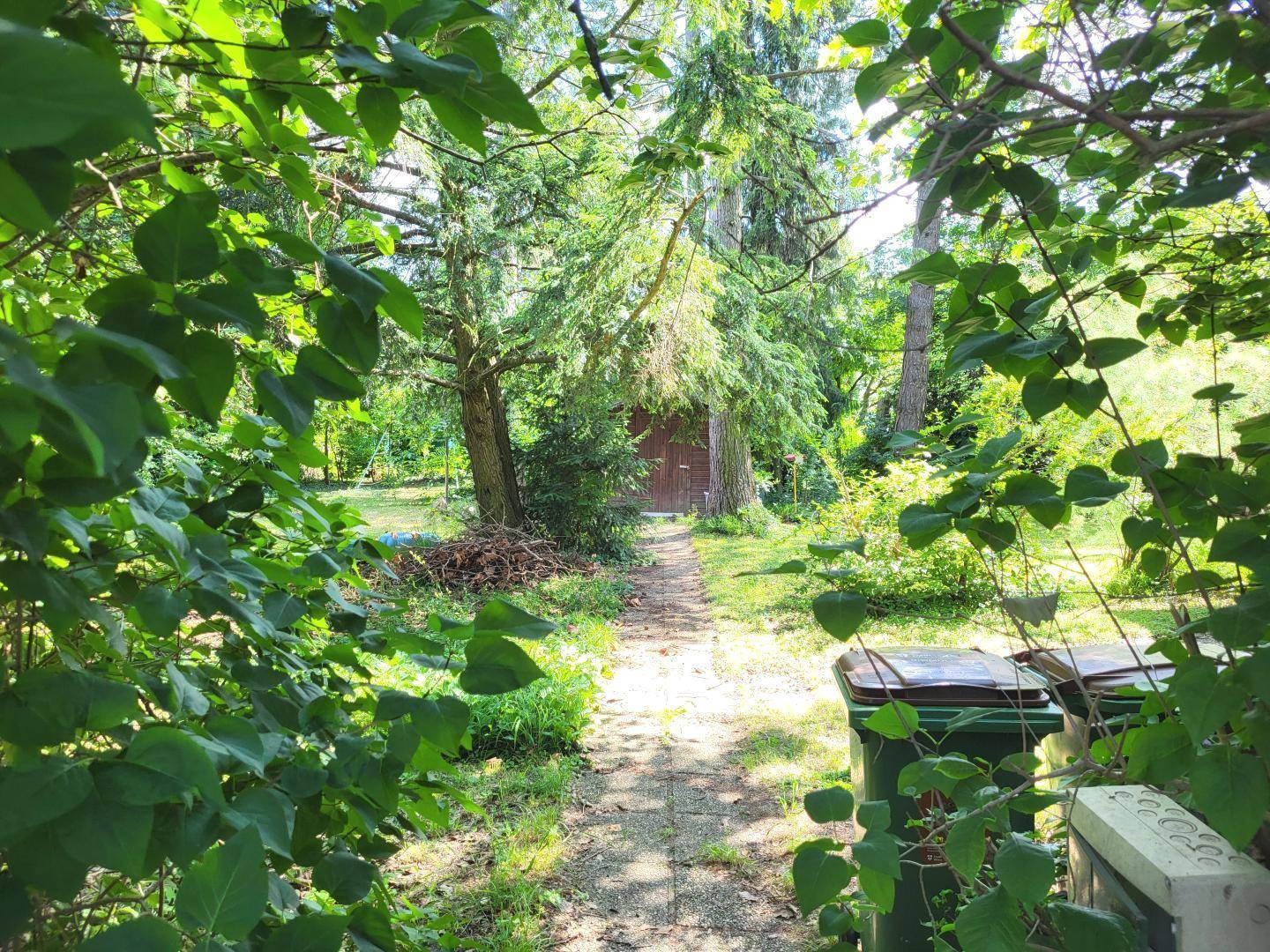 Schmaler Pfad führt durch den grünen Gartenbereich mit Bäumen und Sträuchern.