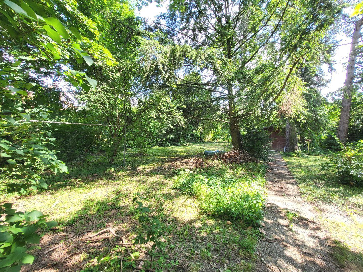 Weitläufiger Gartenbereich mit viel Grün, Bäumen und einem sonnigen Rasen.