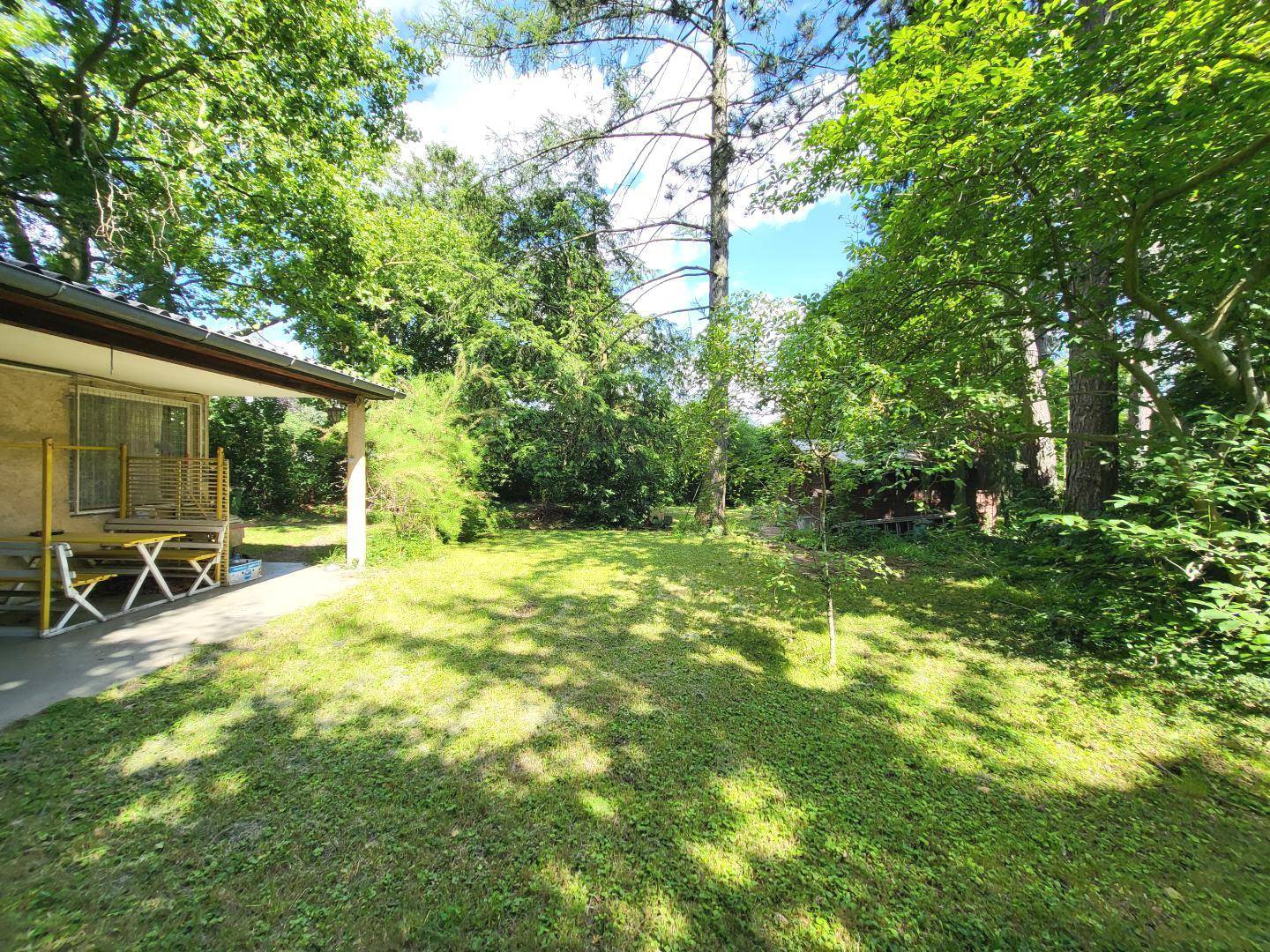 Blick auf das Haus und den weitläufigen Garten mit Rasenfläche und hohen Bäumen.