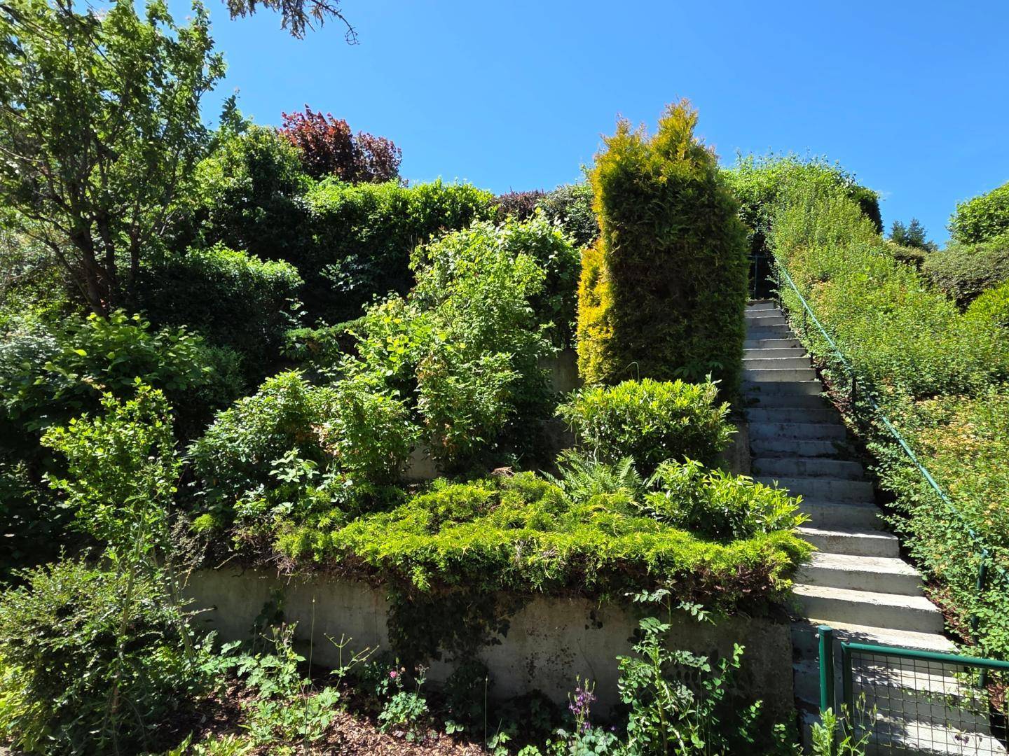 Treppe im grünen Gartenbereich, umgeben von üppiger Vegetation und Sträuchern.
