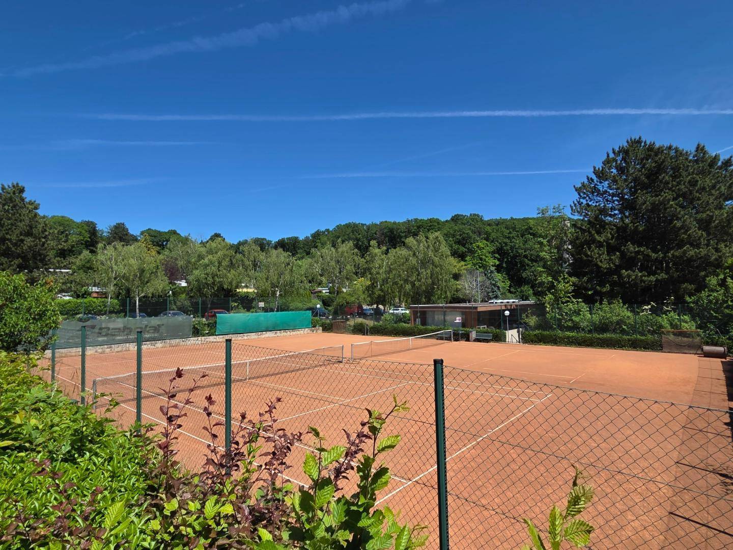 Gepflegte Tennisplätze im Freien, umgeben von grünen Bäumen und Sträuchern, unter strahlend blauem Himmel.