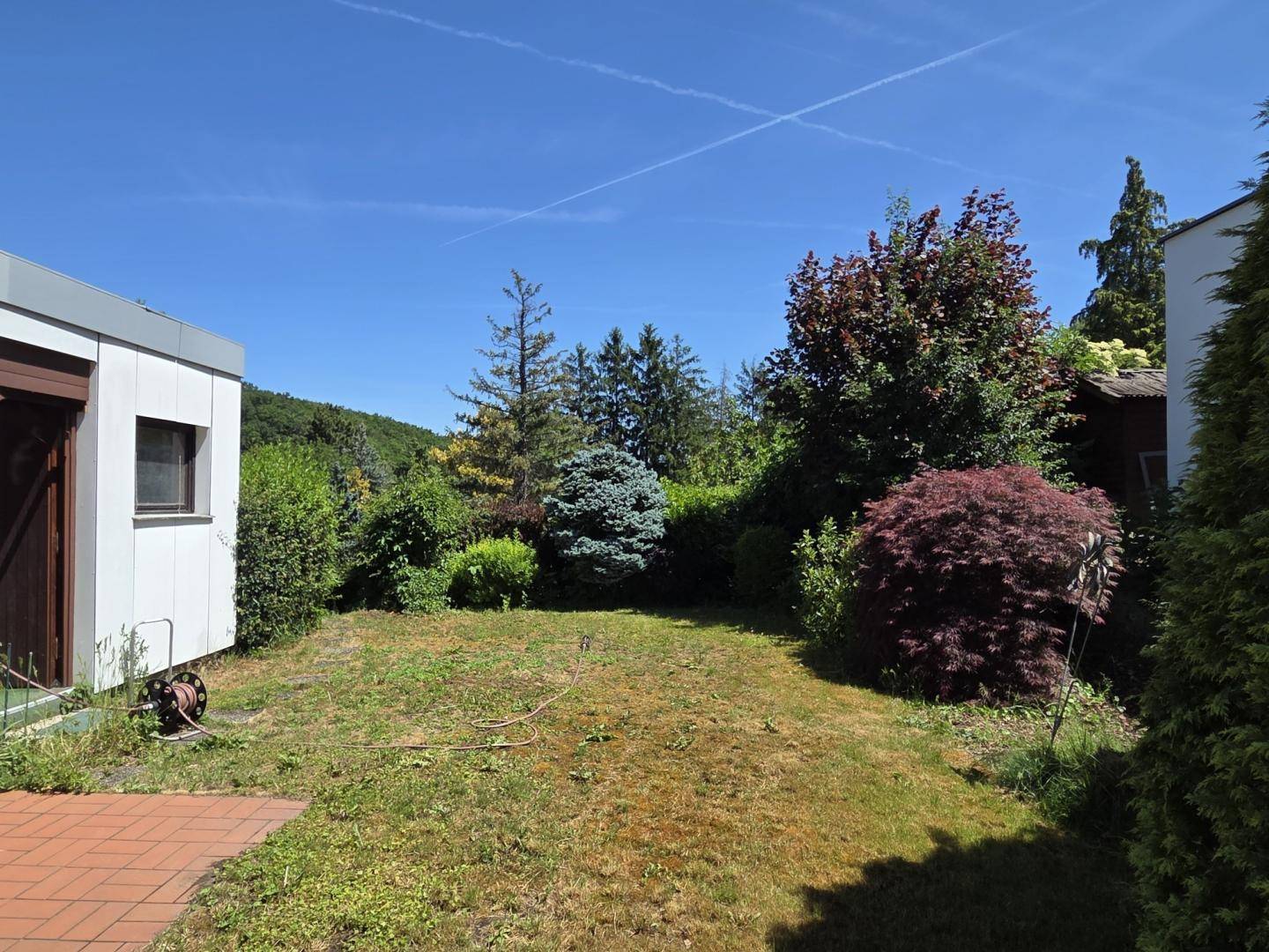 Sonniger Garten mit Rasenfläche, verschiedenen Bäumen und Sträuchern unter blauem Himmel.