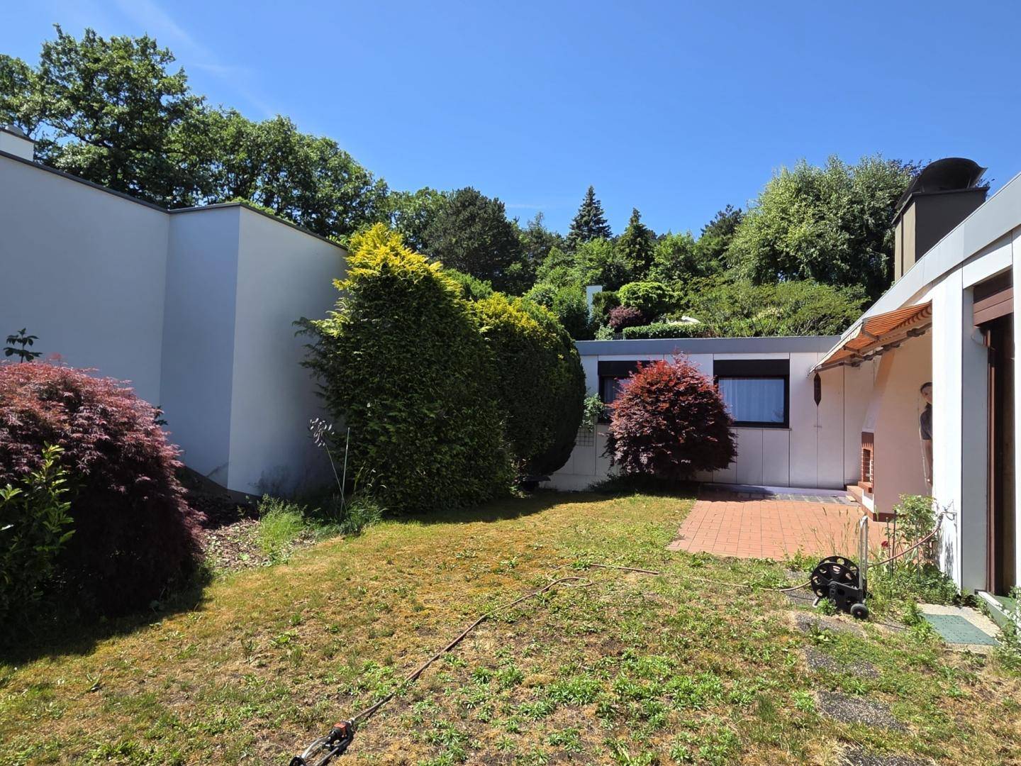 Gepflegter Gartenbereich mit Rasenfläche und üppiger Bepflanzung rund um das Haus.