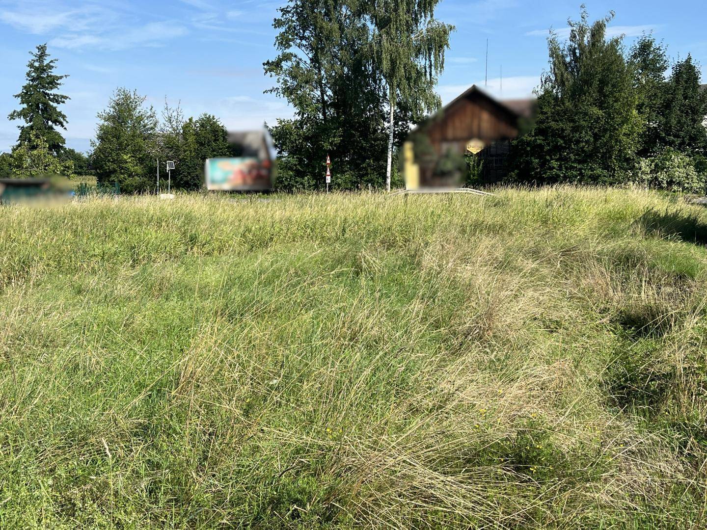 Weitläufiges, grünes Grundstück mit hohem Gras und Bäumen im Hintergrund.