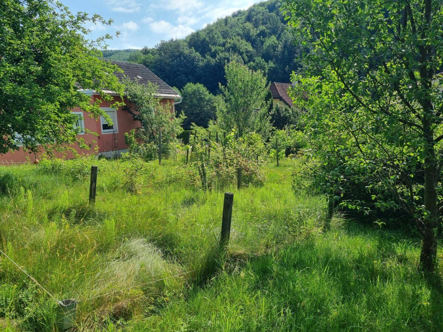 Üppiger Gartenbereich mit Sträuchern und einem roten Haus im Hintergrund unter blauem Himmel.