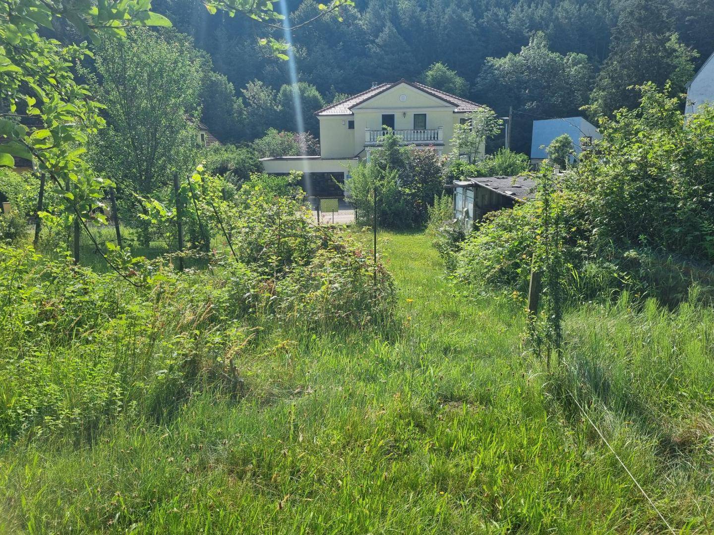 Weitläufiger Gartenbereich mit üppiger Vegetation und einem Wohnhaus im Hintergrund.