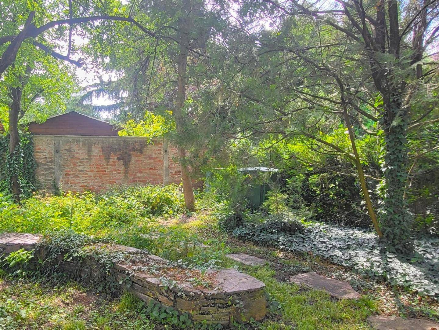 Natürlicher Gartenbereich mit Bäumen, einer alten Ziegelmauer und dichtem Laubwerk.