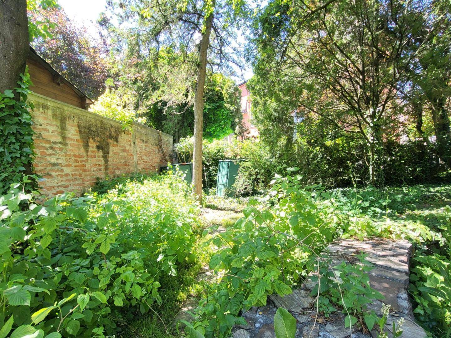 Dichter, grüner Gartenbereich mit Bäumen und einer historischen Ziegelmauer im Hintergrund.