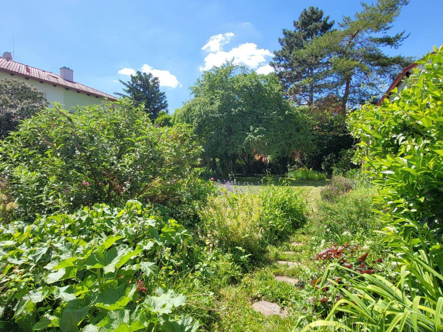 Üppiger, naturbelassener Gartenbereich mit Trittsteinen und vielfältiger Bepflanzung.