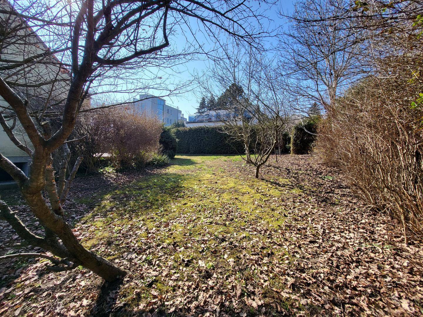 Großer Gartenbereich mit Bäumen und viel Potenzial für individuelle Gestaltung.