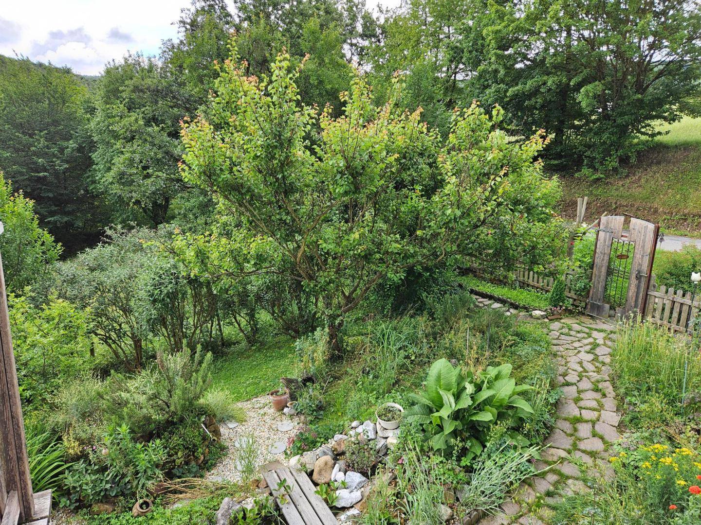 Idyllischer Gartenweg aus Natursteinplatten umgeben von üppiger Vegetation.