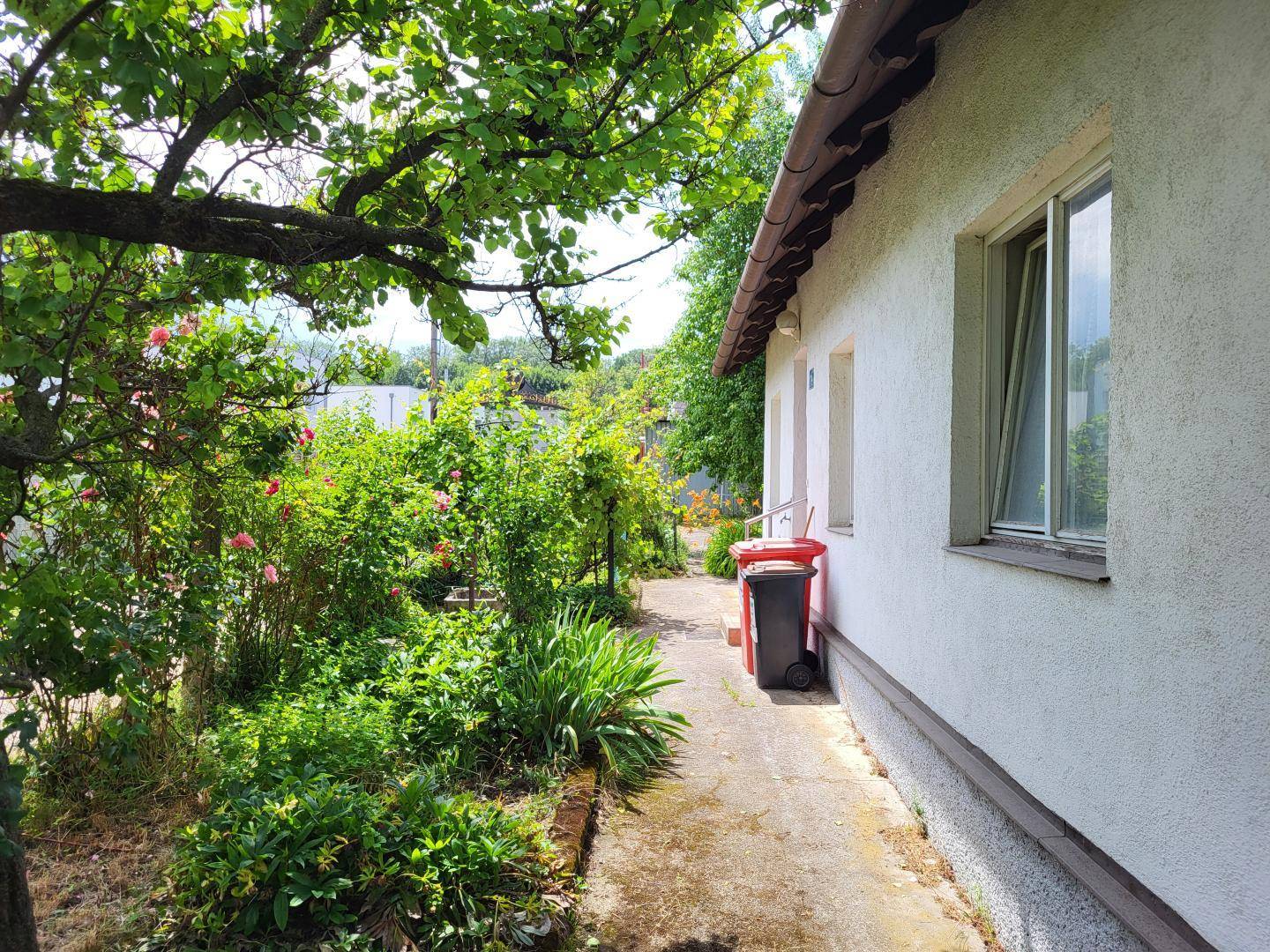 Seitlicher Gartenweg entlang des Hauses, gesäumt von grünen Pflanzen und blühenden Rosenbüschen.