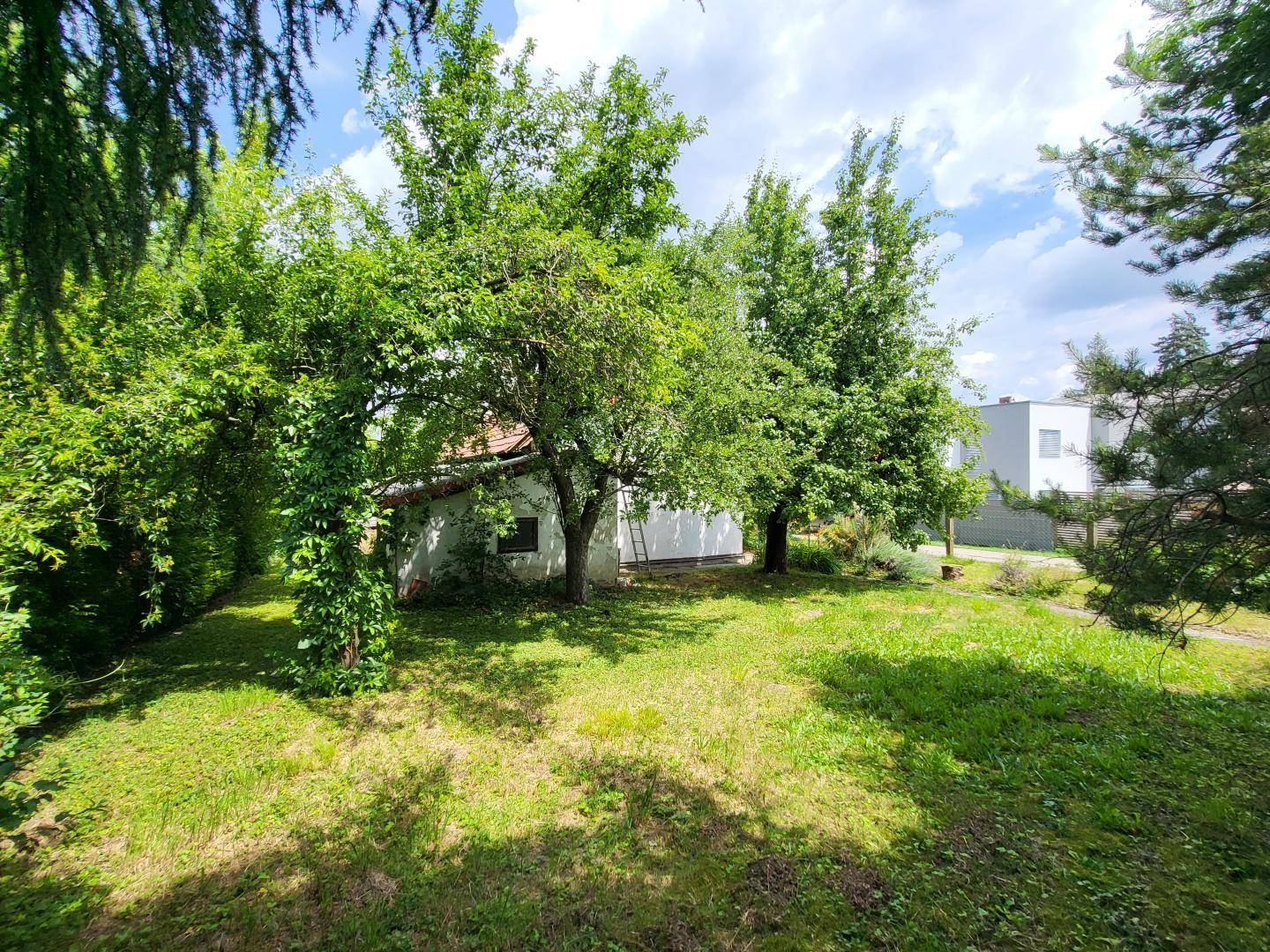 Weitläufiger grüner Garten mit mehreren Obstbäumen und einem Blick auf benachbarte Gebäude.