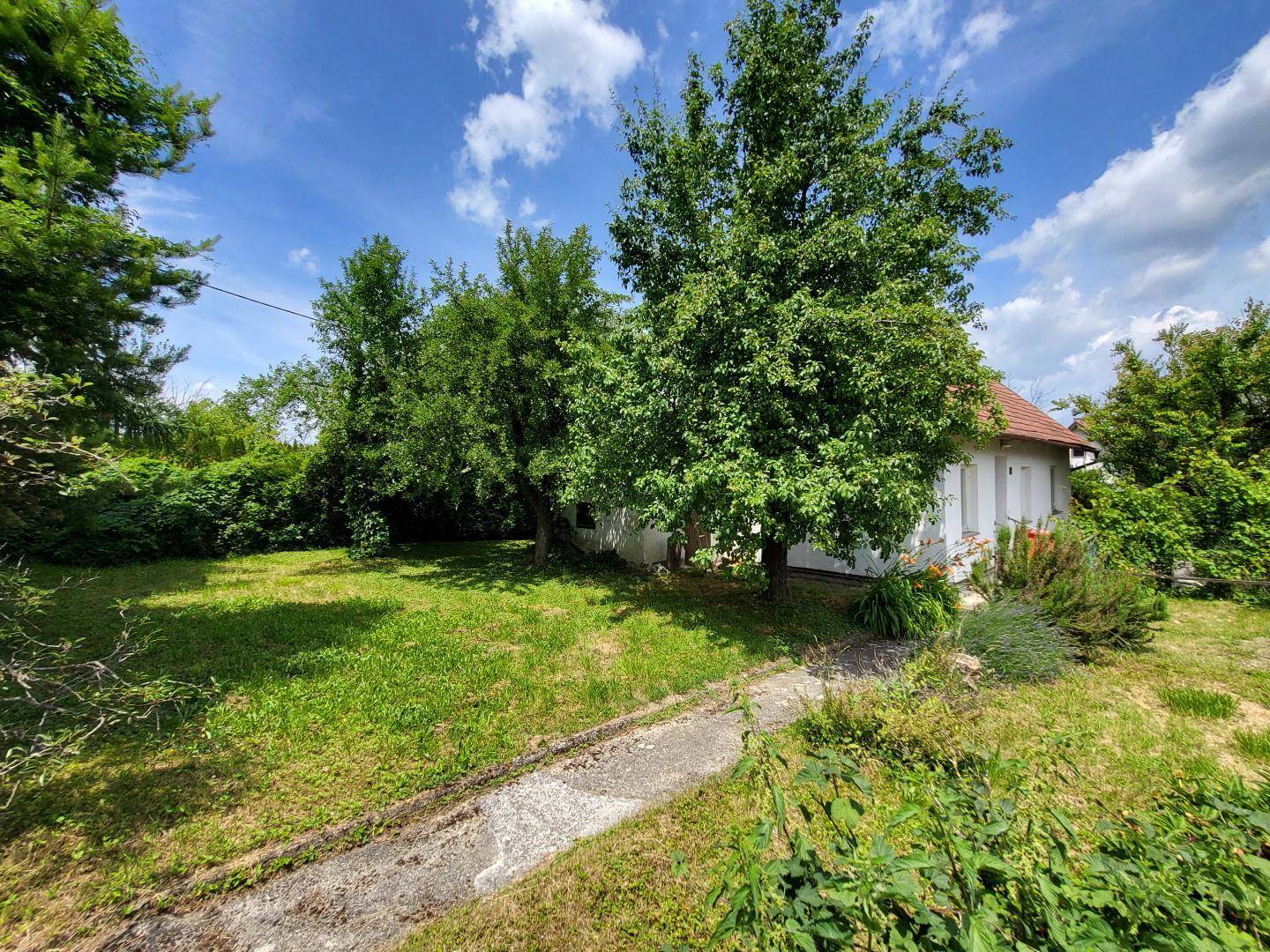 Großer, grüner Garten mit altem Baumbestand und einem schmalen Pfad unter blauem Himmel.