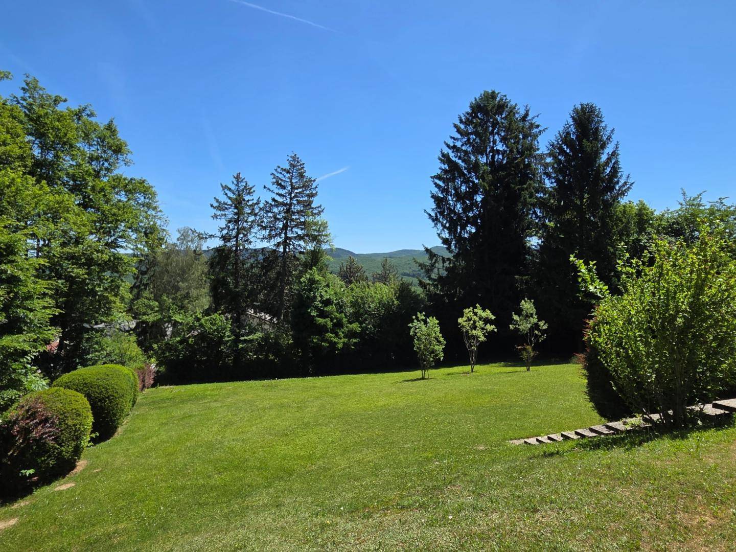 Großer Garten mit Rasenfläche, umgeben von Bäumen und Sträuchern, mit Stufen zum Haus.