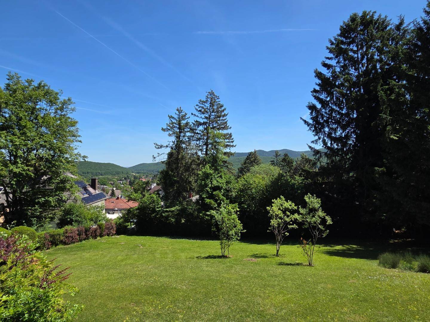 Weitläufiger, gepflegter Garten mit Rasenfläche und Bäumen, bietet einen schönen Ausblick in die Ferne.