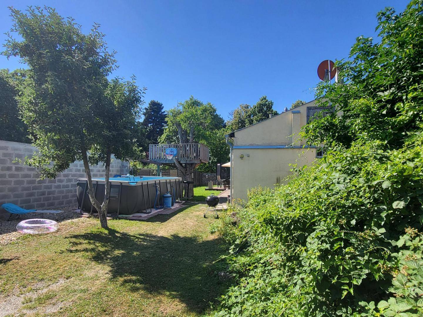 Hinterhof mit Aufstellpool, Baumhaus und viel Grün unter strahlend blauem Himmel.