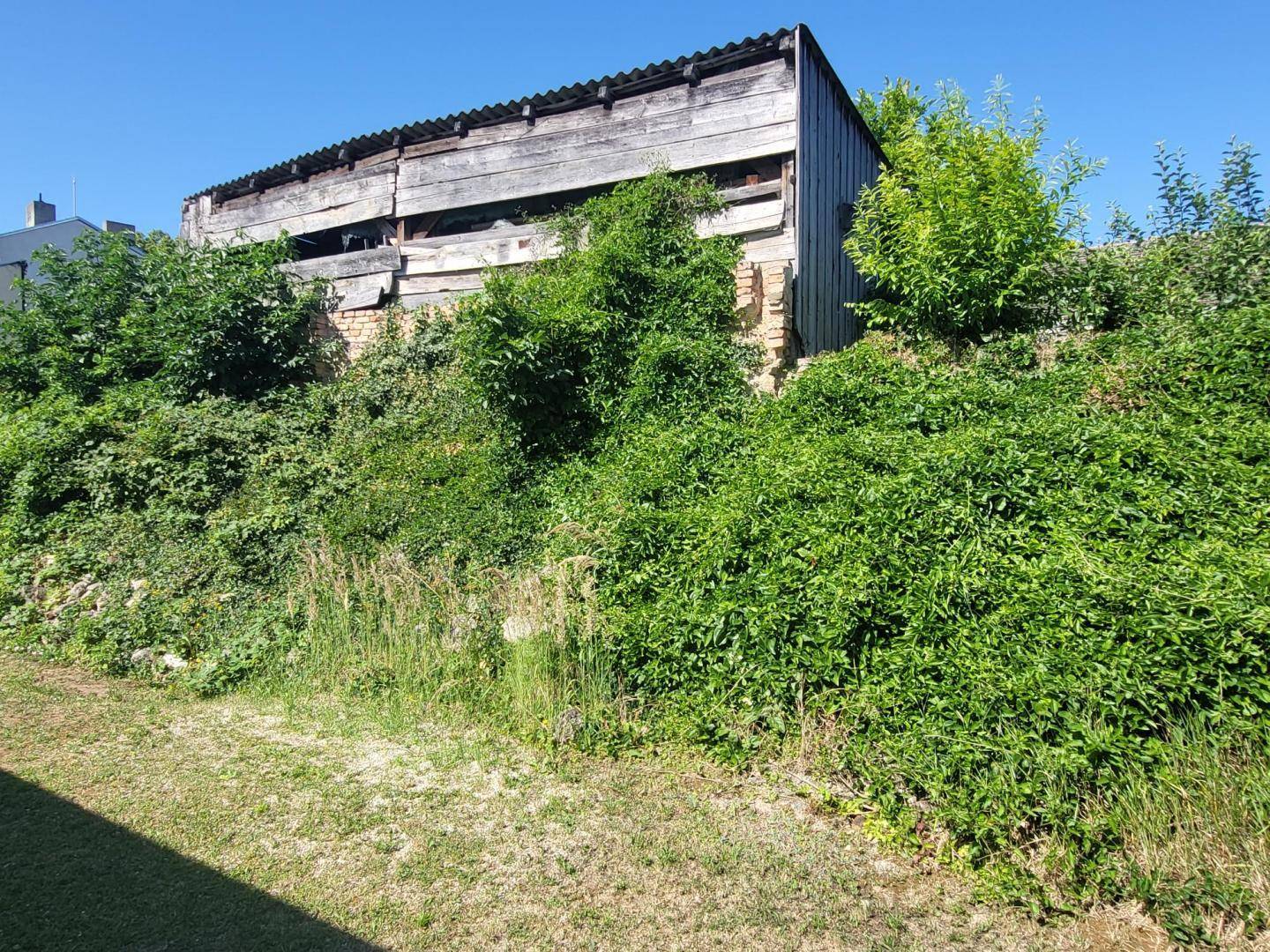 Altes, verfallenes Holzgebäude umgeben von dichtem Grün und Büschen im Sonnenlicht.